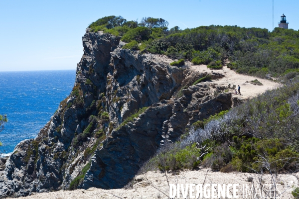 La réserve naturelle de Porquerolles, Port-Cros