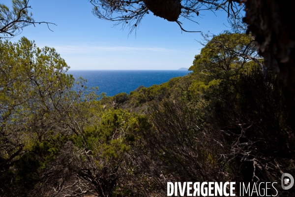 La réserve naturelle de Porquerolles, Port-Cros