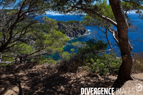 La réserve naturelle de Porquerolles, Port-Cros