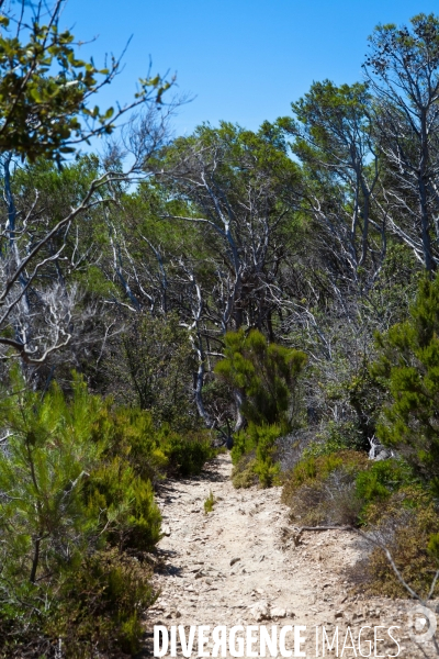 La réserve naturelle de Porquerolles, Port-Cros