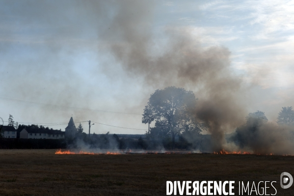 Sécheresse et incendie