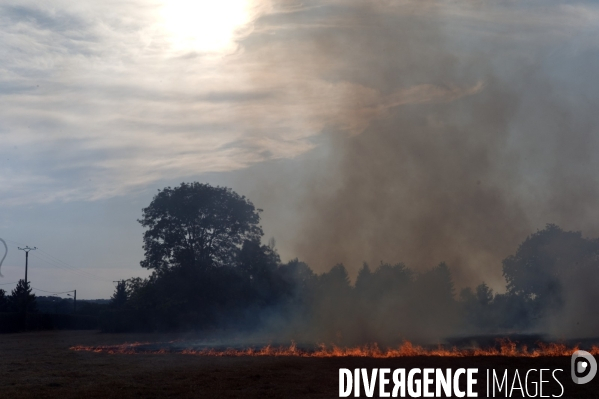 Sécheresse et incendie