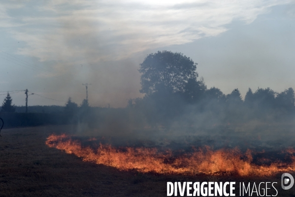 Sécheresse et incendie