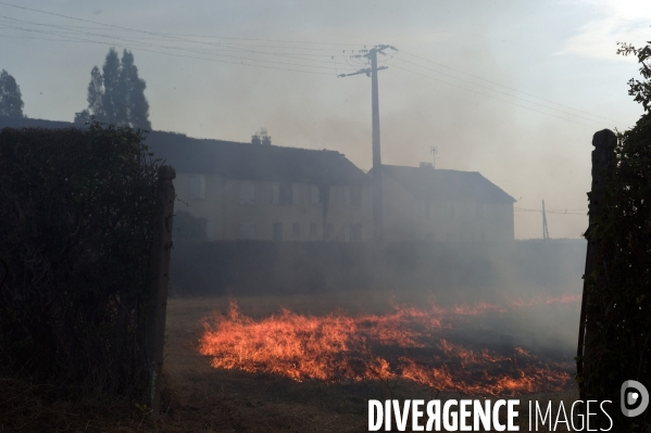 Sécheresse et incendie