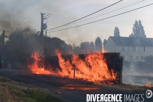 Sécheresse et incendie