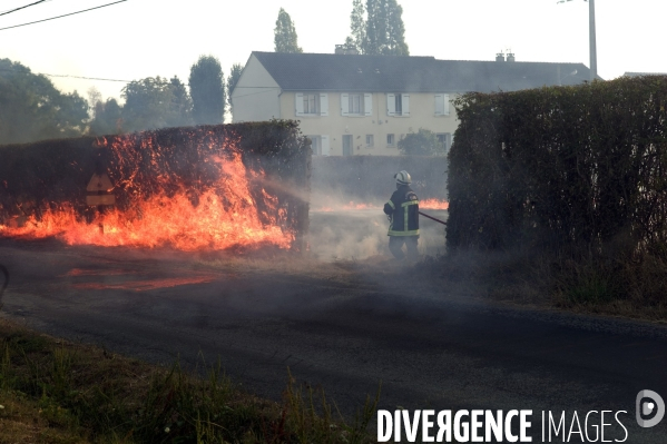 Sécheresse et incendie