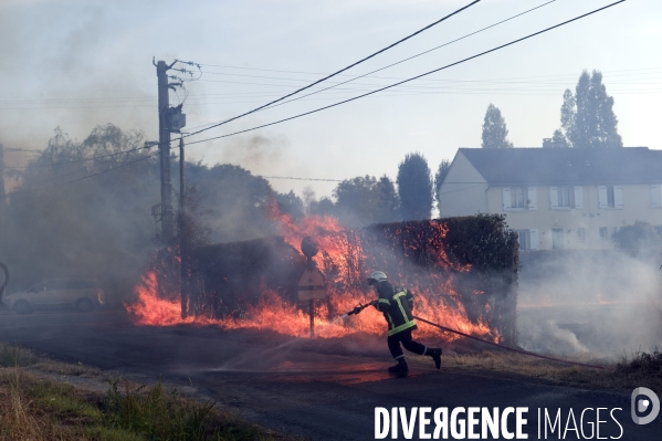 Sécheresse et incendie