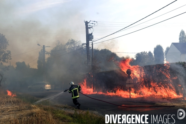 Sécheresse et incendie