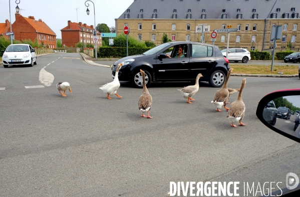 Au Nord # 2
