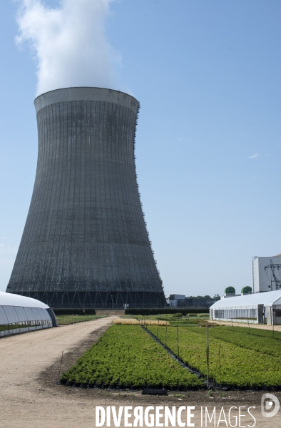 Domaine horticole au pied de la centrale nucléaire de Dampierre en Burly.