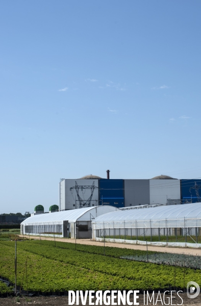 Domaine horticole au pied de la centrale nucléaire de Dampierre en Burly.