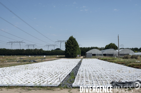 Domaine horticole au pied de la centrale nucléaire de Dampierre en Burly.