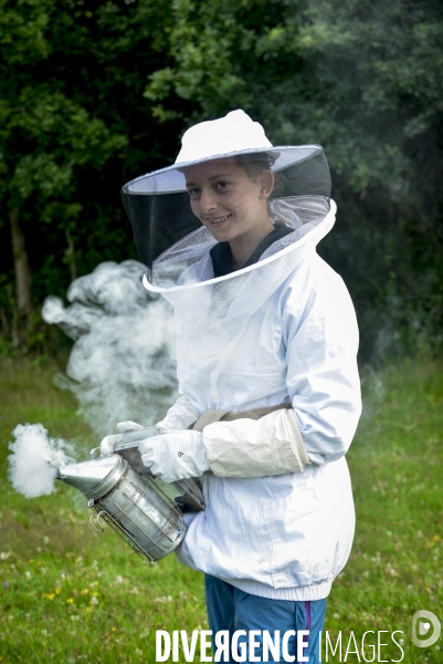 Récolte artisanale du miel. Des amis apiculteurs se partagent les ruches et la récolte. Artisanal harvest of honey. Friends beekeepers share beehives and the harvest.