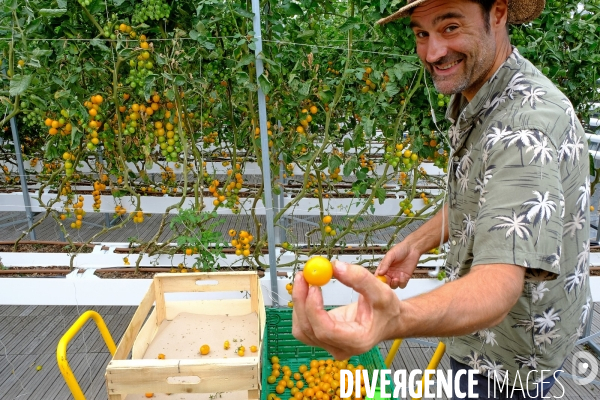 La ferme urbaine d  Agripolis sur le toit du pavillon 6 du parc des expositions. # 2