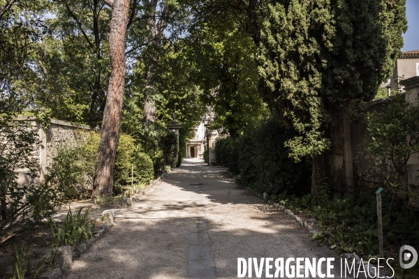 Asile Saint-Paul de Mausole