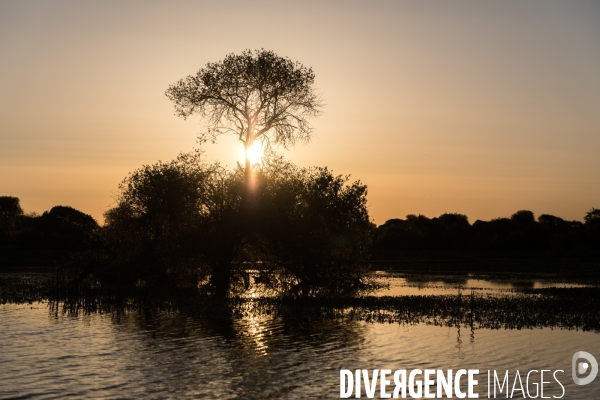 Pêcheur professionnel dans les marais de Mazerolles