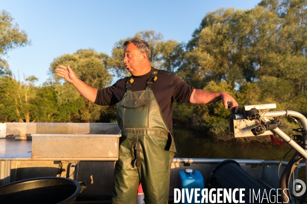 Pêcheur professionnel dans les marais de Mazerolles