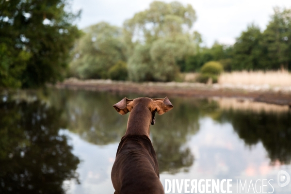 Pêcheur professionnel dans les marais de Mazerolles