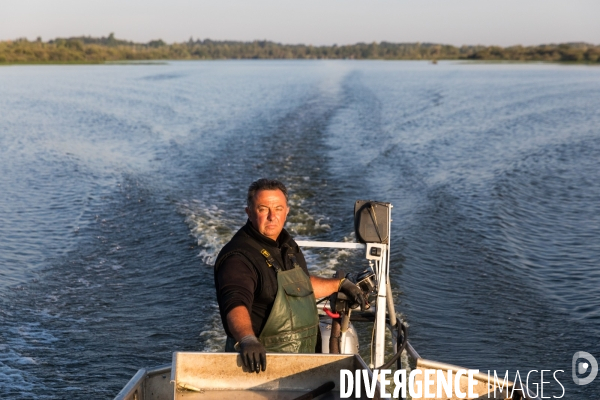 Pêcheur professionnel dans les marais de Mazerolles