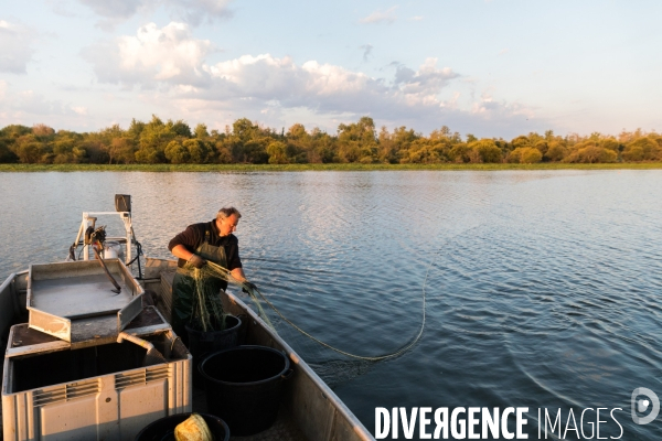 Pêcheur professionnel dans les marais de Mazerolles