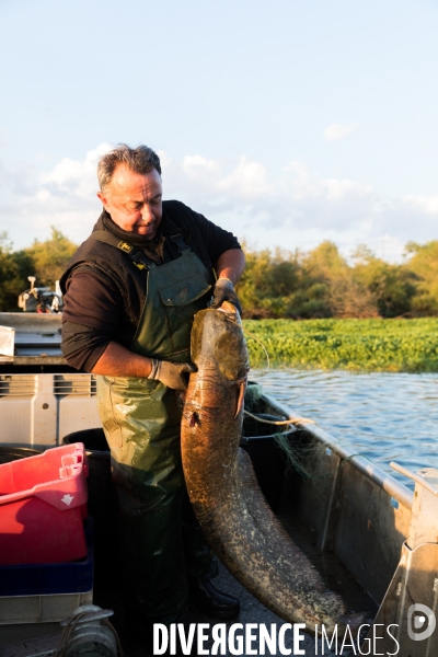 Pêcheur professionnel dans les marais de Mazerolles