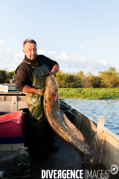 Pêcheur professionnel dans les marais de Mazerolles