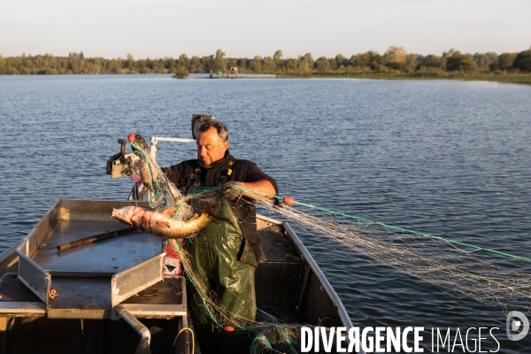 Pêcheur professionnel dans les marais de Mazerolles