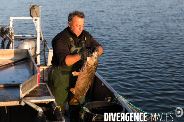 Pêcheur professionnel dans les marais de Mazerolles