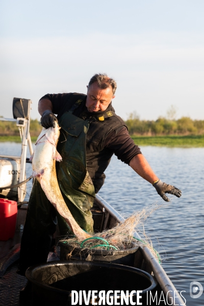 Pêcheur professionnel dans les marais de Mazerolles