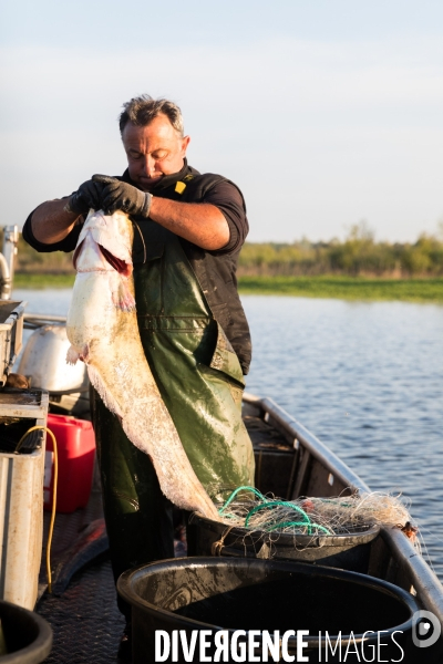 Pêcheur professionnel dans les marais de Mazerolles