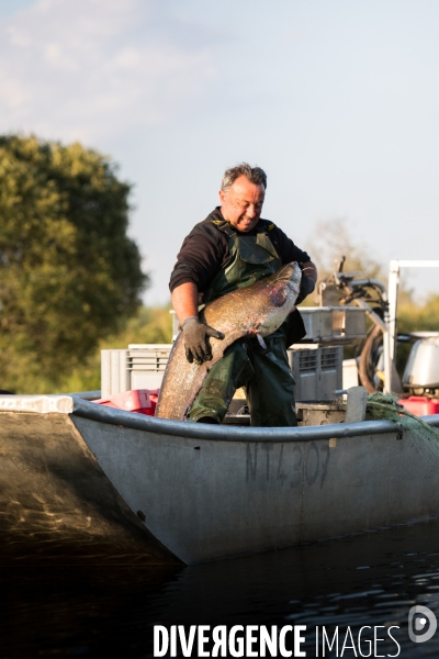 Pêcheur professionnel dans les marais de Mazerolles