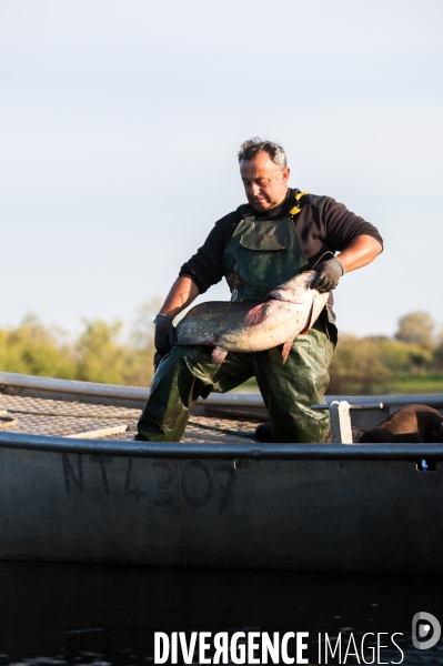 Pêcheur professionnel dans les marais de Mazerolles