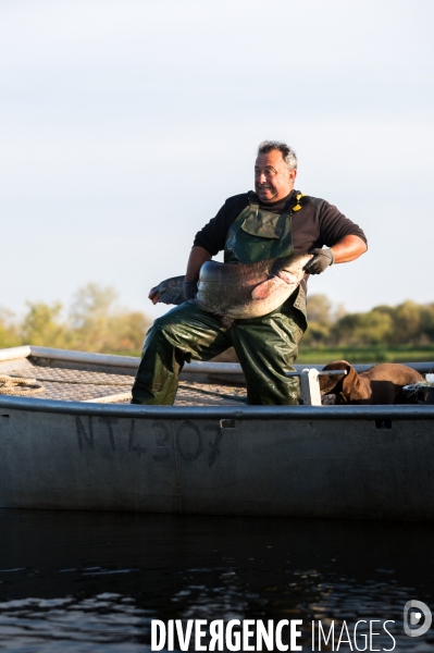 Pêcheur professionnel dans les marais de Mazerolles