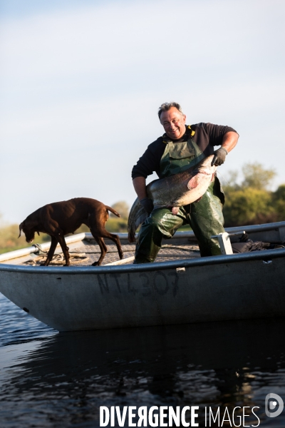 Pêcheur professionnel dans les marais de Mazerolles