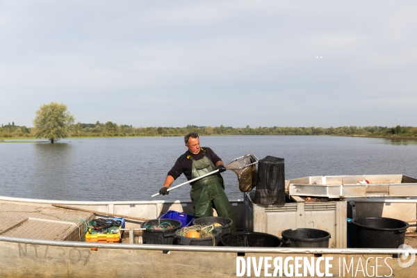 Pêcheur professionnel dans les marais de Mazerolles