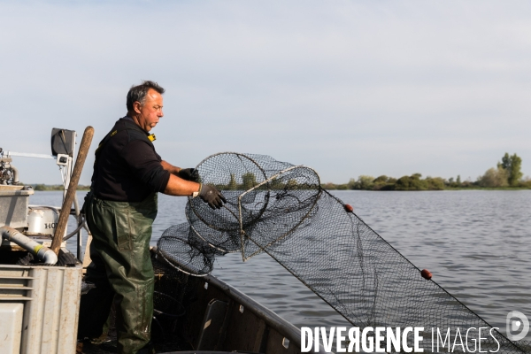 Pêcheur professionnel dans les marais de Mazerolles