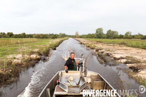 Pêcheur professionnel dans les marais de Mazerolles