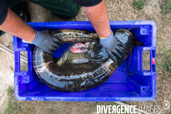 Pêcheur professionnel dans les marais de Mazerolles