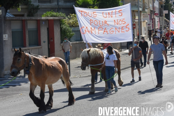 Eleveurs et chasseurs contre les réserves de vie sauvage