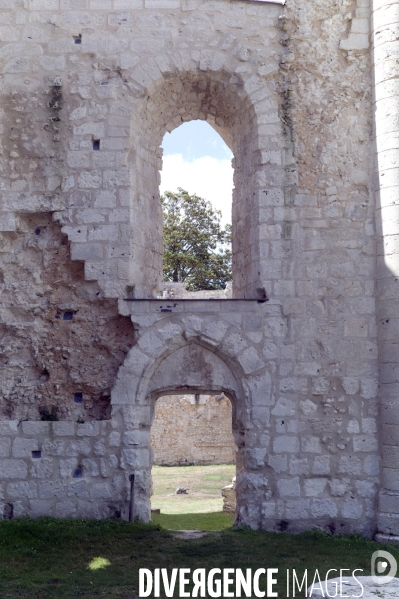 Abbaye Saint-Pierre de Jumièges