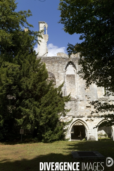 Abbaye Saint-Pierre de Jumièges