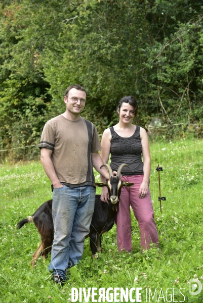 Animaux : élevage de chèvres au GAEC bio   Les vaches nous rendent chèvres . Animals : Goat farming.