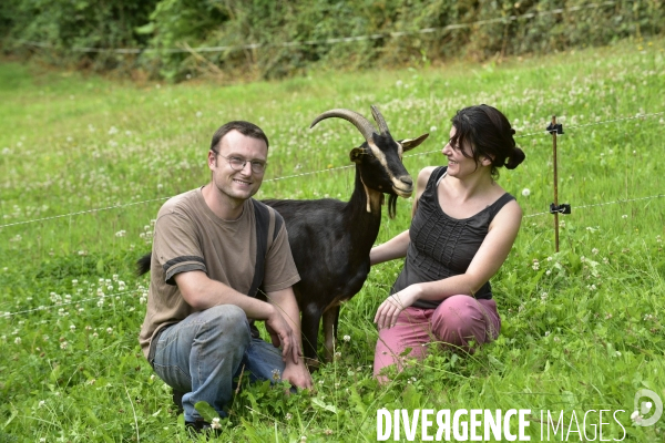 Animaux : élevage de chèvres au GAEC bio   Les vaches nous rendent chèvres . Animals : Goat farming.