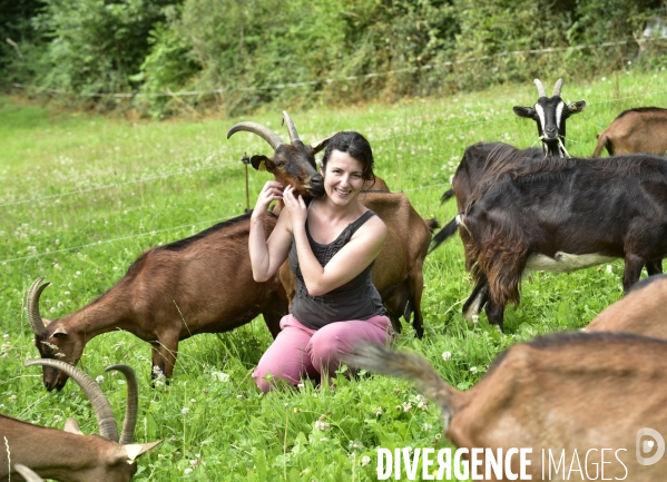 Animaux : élevage de chèvres au GAEC bio   Les vaches nous rendent chèvres . Animals : Goat farming.