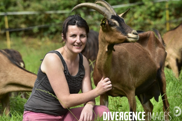 Animaux : élevage de chèvres au GAEC bio   Les vaches nous rendent chèvres . Animals : Goat farming.