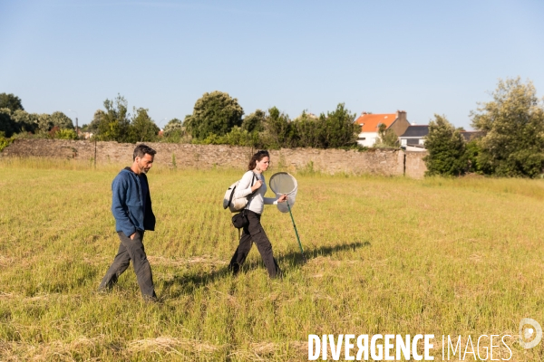 Protection des cultures et auxiliaires sauvages