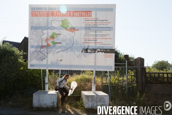 Protection des cultures et auxiliaires sauvages