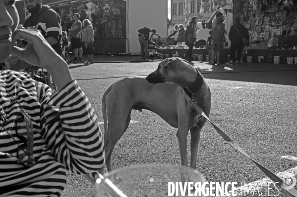 Fête foraine et voitures anciennes