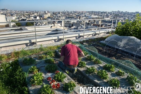 Un Opéra pour des légumes