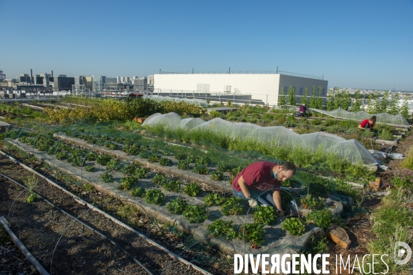 Un Opéra pour des légumes